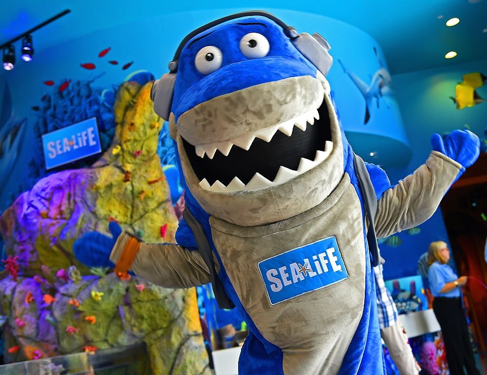 Sea Life Orlando Aquarium Photo Galleries
