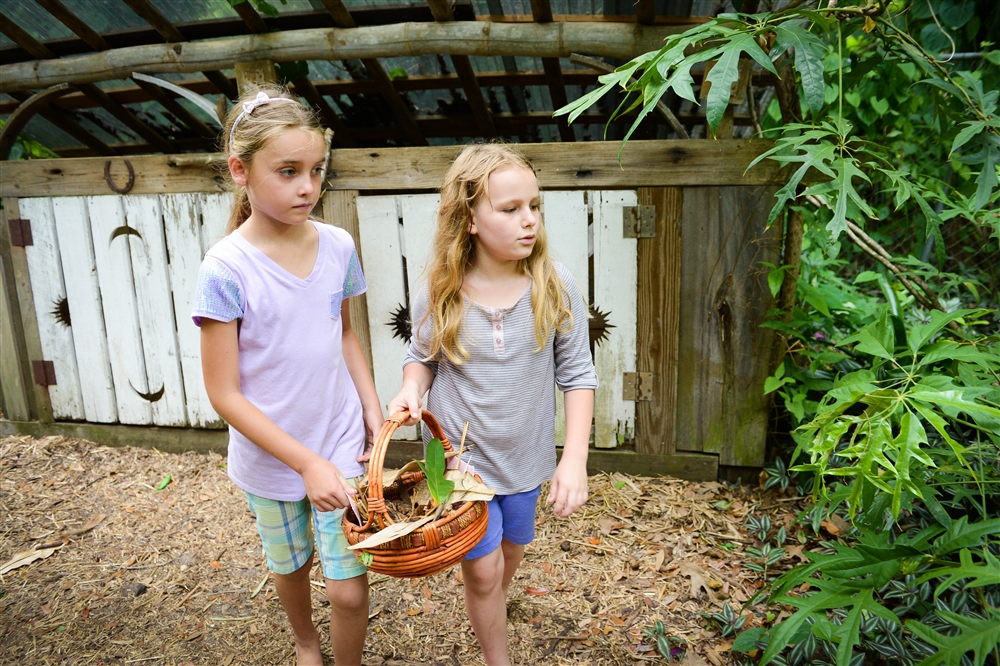 Building Fairy Houses at Sarasota Childrens Garden Photo Galleries